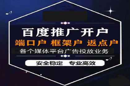 竞价端口开户成功助力企业增长